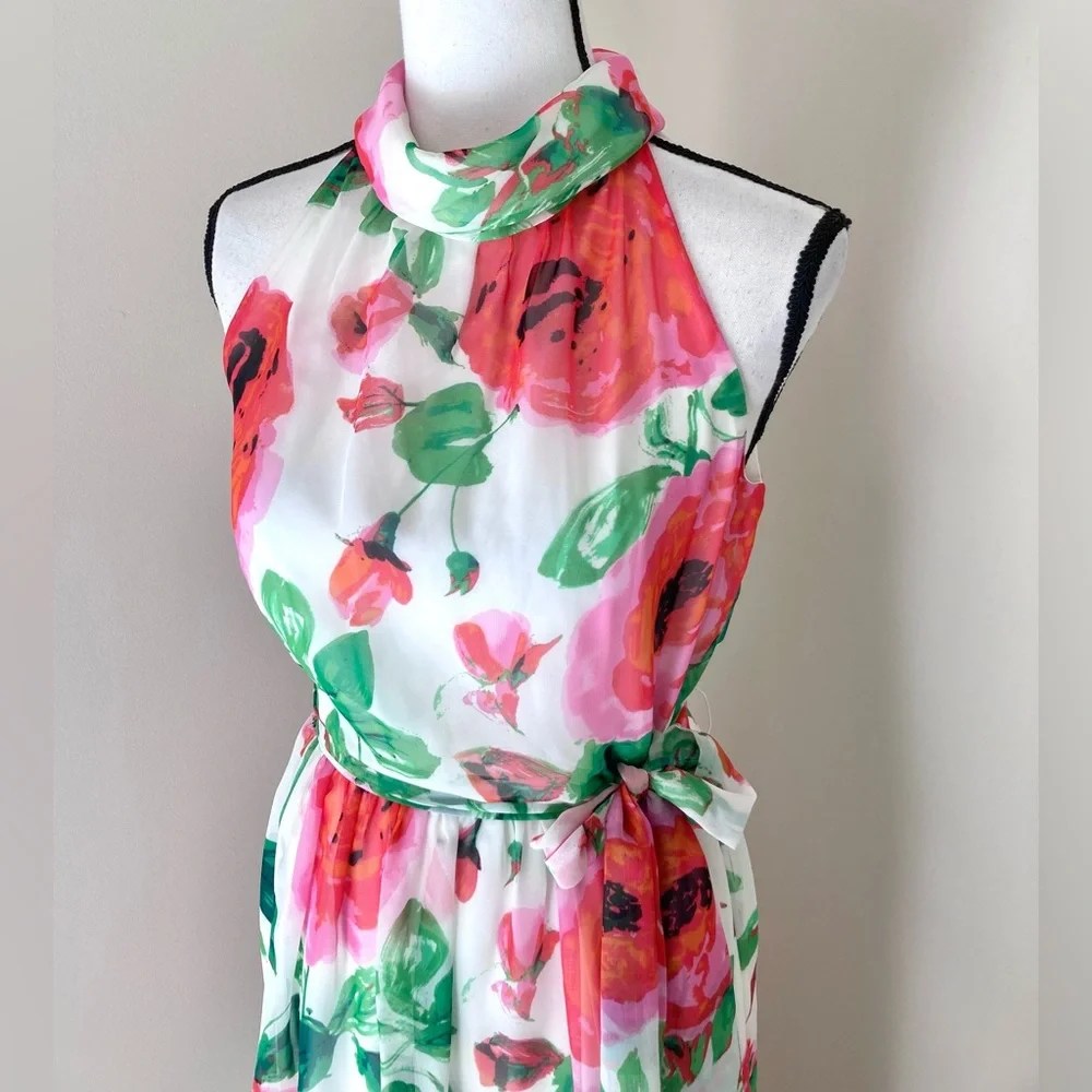 Jessica Howard Floral Chiffon Feminine Halter Maxi Dress Size 6